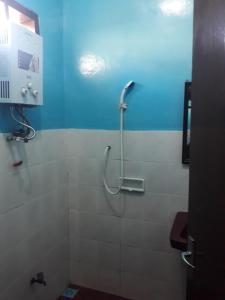 a shower in a bathroom with a blue wall at Cafe Lava Hostel in Bromo