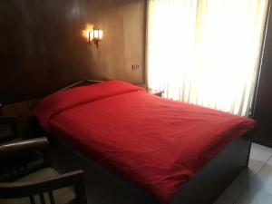 Ein Bett oder Betten in einem Zimmer der Unterkunft Cafe Lava Hostel