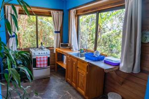 eine Küche mit Spüle und Herd in der Unterkunft Apartamento ArteSAna in Monteverde Costa Rica