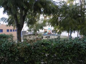 un grupo de árboles frente a un edificio en Apartamento en Jerez de la Frontera 2, en Jerez de la Frontera