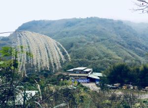 una casa al lado de una montaña en Shuitianfarm, en Jianshi