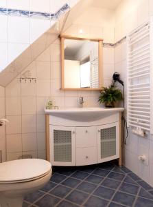 a bathroom with a sink and a toilet and a mirror at Landhaus Residenz Ostsee Meeresbrise in Insel Poel