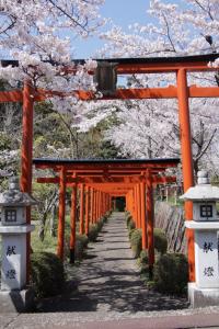 an orange torii gate with cherry trees in the background at GuestHouse MISAKI 一棟貸切駐車場2台最寄駅はJR石山駅瀬田南郷ゴルフ場近し琵琶湖京都宇治奈良大阪の観光は便利です in Otsu