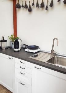 a kitchen with a sink and a counter top at Villa Letná in Brandýs nad Labem-Stará Boleslav