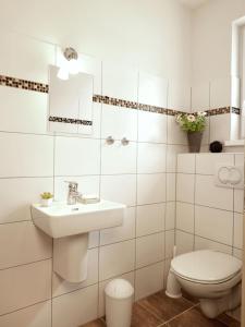 a white bathroom with a sink and a toilet at Bernsteinhof in Kaltenhof