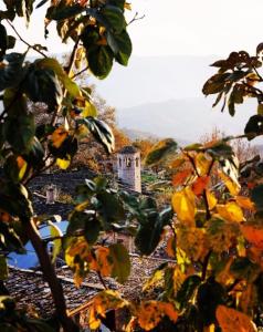 Φωτογραφία από το άλμπουμ του Mousafir Ontas στο Καπέσοβο