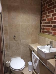 a bathroom with a toilet and a sink at Three Chimneys Farm Accommodation in Goudhurst