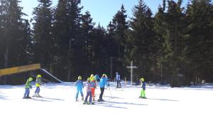 un gruppo di persone sugli sci nella neve di Viehberghütte a Sandl
