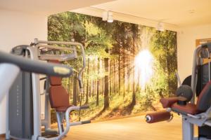 Fitness centrum a/nebo fitness zařízení v ubytování Thermenhotel Apollo