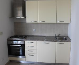 Kuchyň nebo kuchyňský kout v ubytování Apartments T & D