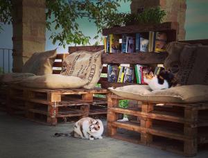 Pet and Breakfast Pet Friendly Country House kisállat-vendégei