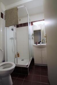 um banheiro com chuveiro, vaso sanitário e pia em F2 de charme au cœur de Rouen, vu unique sur la cathédrale em Rouen