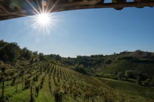 Photo de la galerie de l'établissement Cascina Allegria, à Castelnuovo