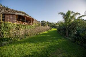 a field of grass next to a building with trees at Atlantico Apartments in Ribeira Grande