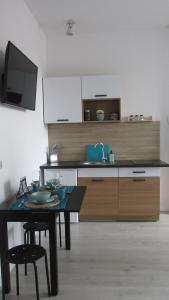 Kuchyňa alebo kuchynka v ubytovaní Apartament Pucka Przystań