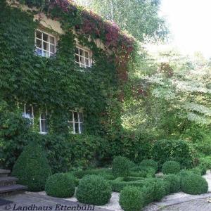 a building with a bunch of plants on it at Landhaus Ettenbühl Bed and Breakfast in Bad Bellingen