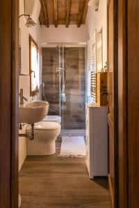 y baño con aseo, lavabo y ducha. en Appartamento Porta Pispini, en Siena