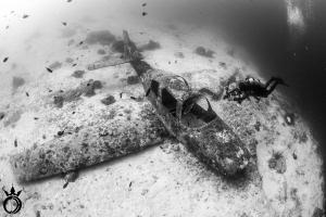 Hosté ubytování Club Hari Dive Resort