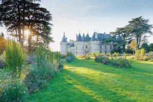 un château au milieu d'un champ fleuri dans l'établissement Escale face à la Loire, à Chaumont-sur-Loire