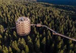 a building in the middle of a forest of trees at Rooms Reaktiv in Zreče