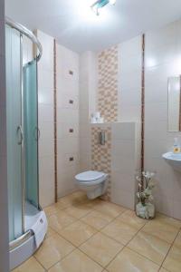 Un baño con ducha, inodoro y lavabo. en Dom Grinholc, en Rumia 37 fotos más