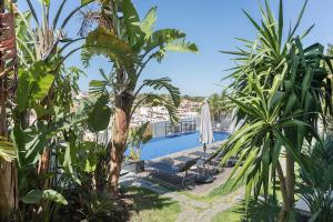 a view of a swimming pool with palm trees at One2Seven in Ferragudo
