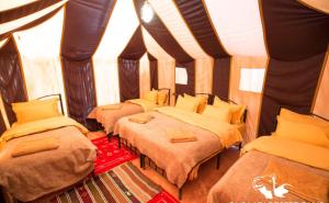 a group of four beds in a room at Sahara Desert Camp in Merzouga