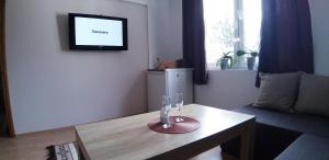 TV a/nebo společenská místnost v ubytování Apartment Sajra