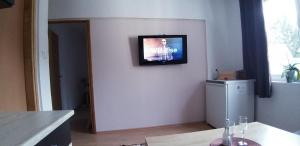 TV a/nebo společenská místnost v ubytování Apartment Sajra
