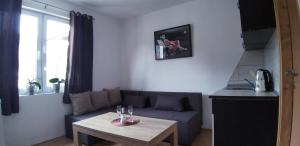 Posezení v ubytování Apartment Sajra