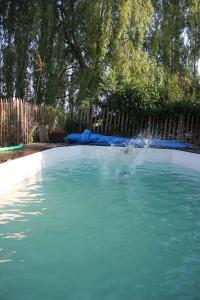Eine Person springt in einen Pool voller Wasser in der Unterkunft gîte de la core in Clézentaine