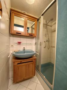 een badkamer met een wastafel en een douche bij Feriendomizil Lautertal-Idylle in Münsingen