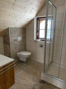 a bathroom with a toilet and a glass shower at Almhaus & Almchalet Flattnitz in Flattnitz
