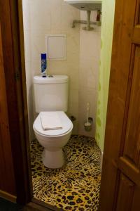 ガリャーチ・クリュチにあるПоместье Холодный Ручейのレオパードプリントフロアのバスルーム(トイレ付)