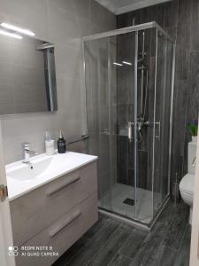 a bathroom with a shower and a sink and a toilet at Alojamiento Buenos Aires in Ourense