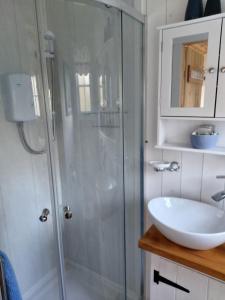 a bathroom with a glass shower and a sink at The Old Mill Shepherds Hut in Okehampton