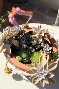 a potted plant in a basket on a table at Agriturismo Il Barco in Spello