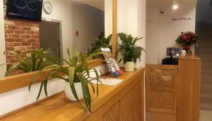 Fotografia z galérie ubytovania Cracow Central Aparthotel v Krakove