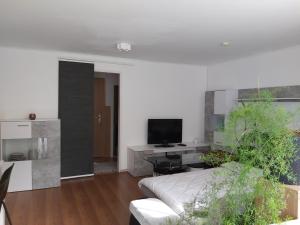 Telewizja i/lub zestaw kina domowego w obiekcie Relax-Apartment mit Sauna
