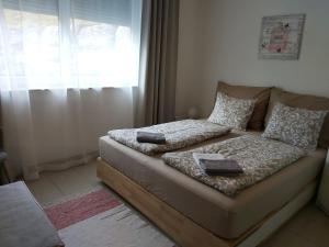 kanapę w salonie z oknem w obiekcie Relax-Apartment mit Sauna w mieście Klagenfurt