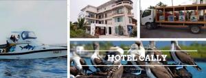 Foto sihtkohas Puerto Villamil asuva majutusasutuse Hotel Cally galeriist