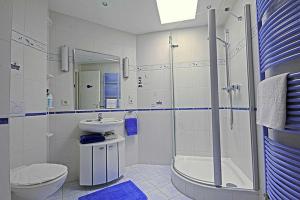 a bathroom with a sink and a shower and a toilet at Villa Seestern _ Wohnung 10 in Neuhof