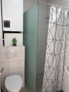 La salle de bains est pourvue d'une douche et de toilettes. dans l'établissement Apartment in EG Schaupenstiel, à Northeim