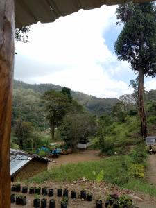 Üldine mäevaade või majutusasutusest Ohiya Jungle resort pildistatud vaade