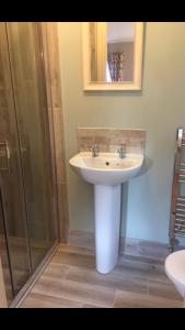 a bathroom with a white sink and a shower at Kilcloon Holiday Homes & Private Rooms in Maynooth
