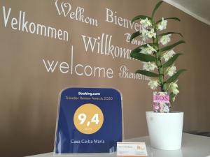 a potted plant sitting on top of a table with a prize at Casa Ceiba Maria in Cala d´Or