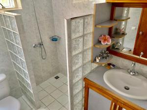 ein Bad mit einer Dusche und einem Waschbecken in der Unterkunft Farehau in Faaa