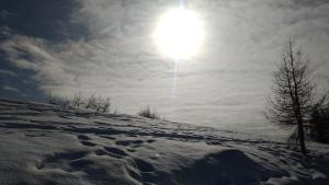 Rifugio escursionistico La Sousto dal Col en invierno