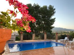 a swimming pool with red flowers next to a fence at Casas Rurales Cazorla-Alcón in Pozo Alcón