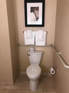 een badkamer met een toilet en handdoeken op een rail bij Omni William Penn Hotel in Pittsburgh